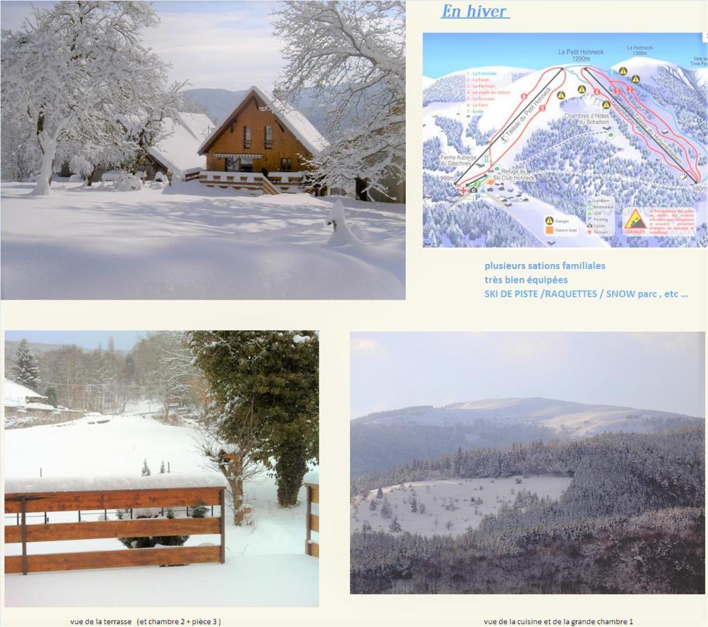 Chalet La Grange De Madi Мюльбах-сюр-Мюнстер Экстерьер фото